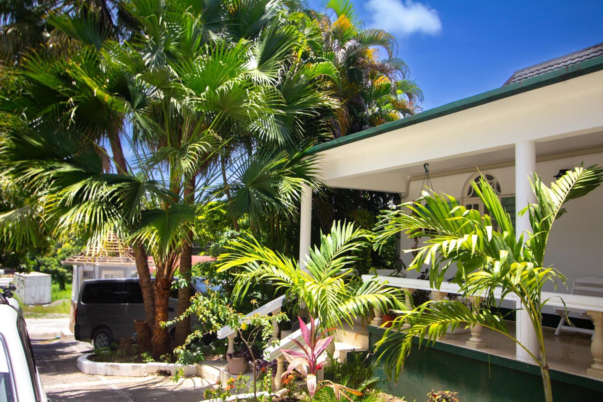Match Resort Port Antonio Luaran gambar